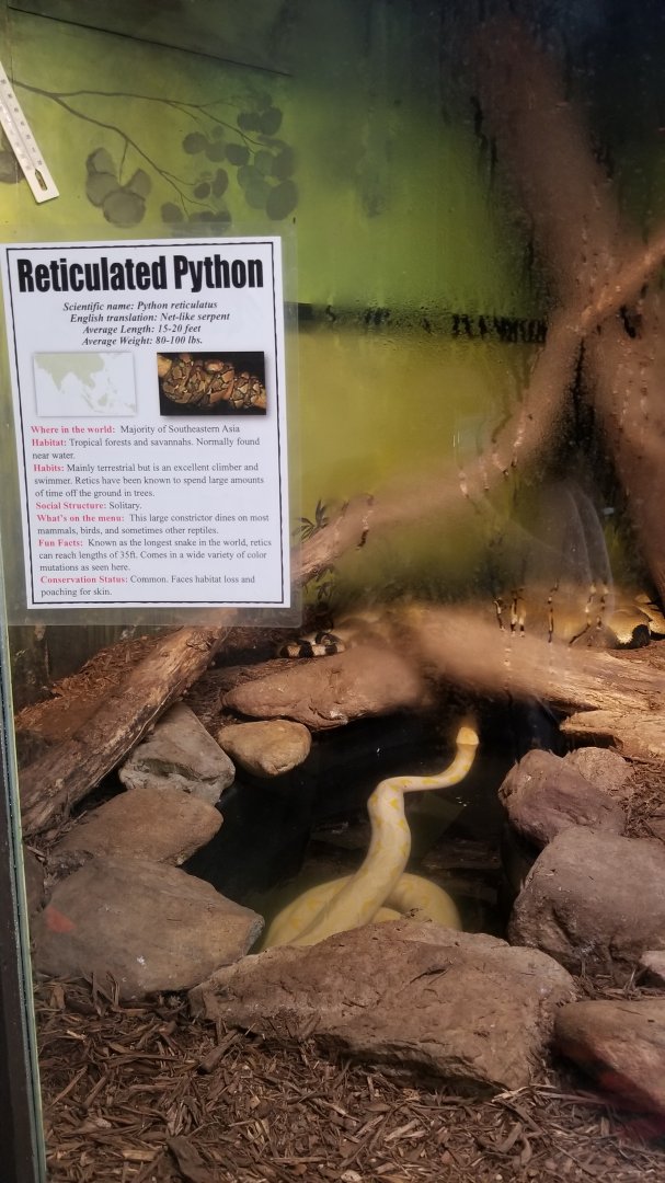 Catoctin Wildlife Preserve - Reticulateds