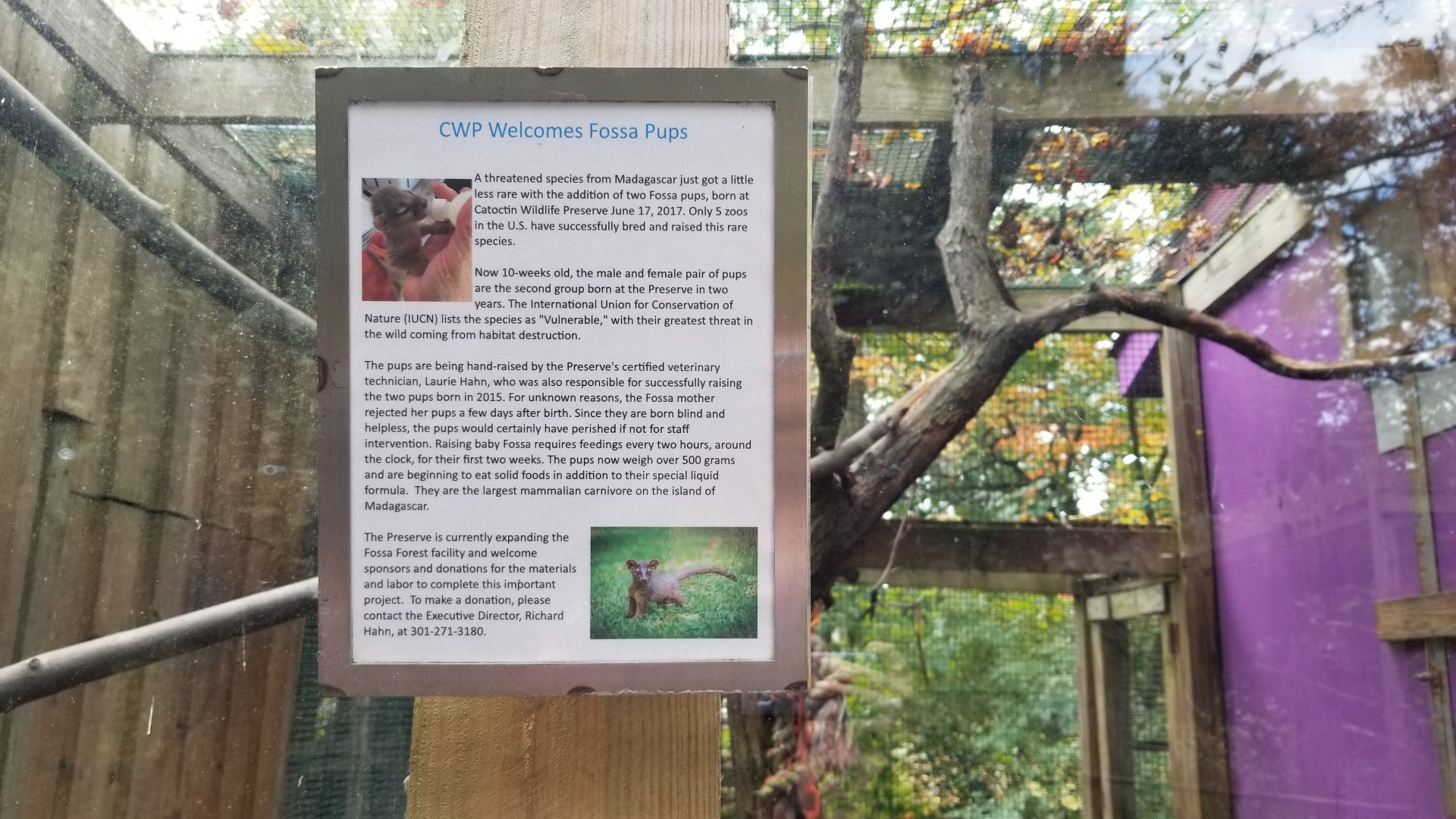 Catoctin Wildlife Preserve - Sign about fossa cubs