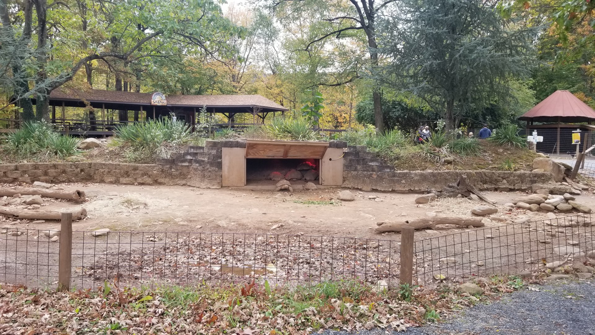 Catoctin Wildlife Preserve - Sulcata, Leopard tortoises. Camel ride area in back