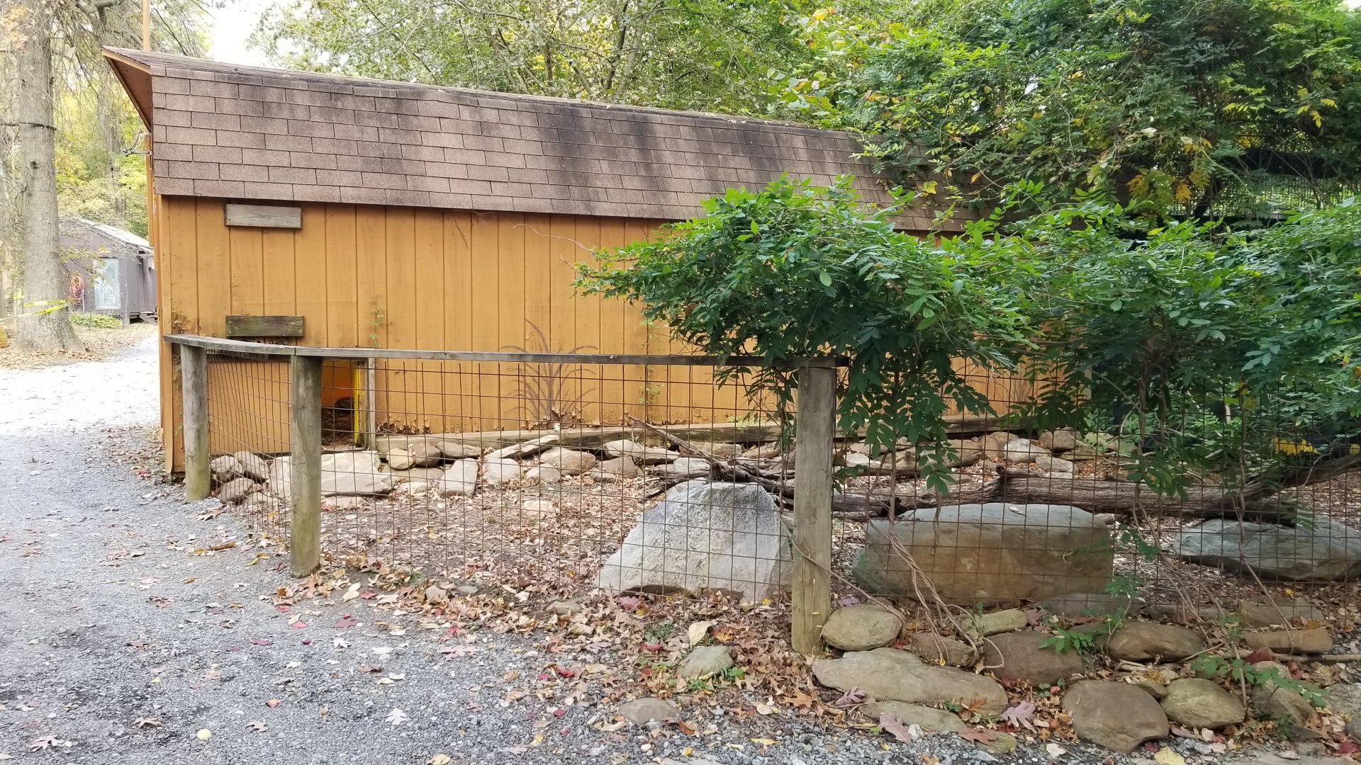 Catoctin Wildlife Preserve - Unknown Tortoise area