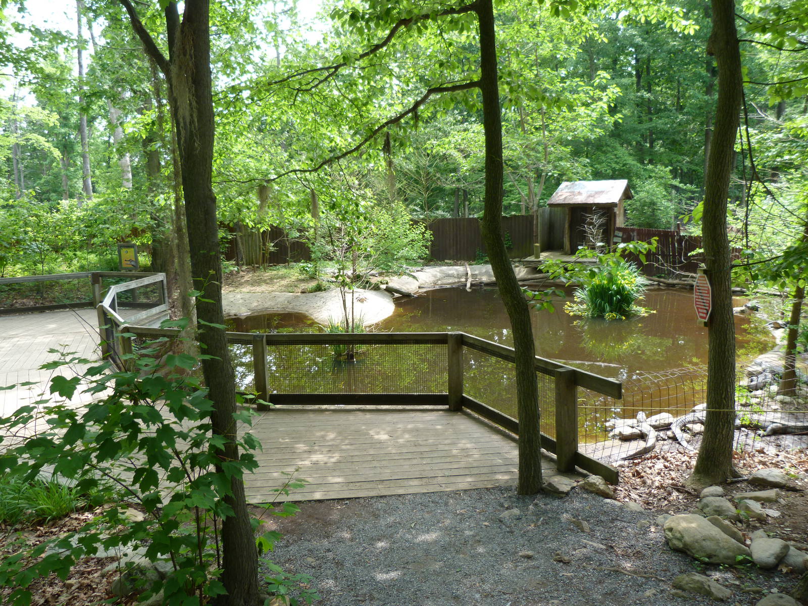 Catoctin Zoo -- Alligator Bayou