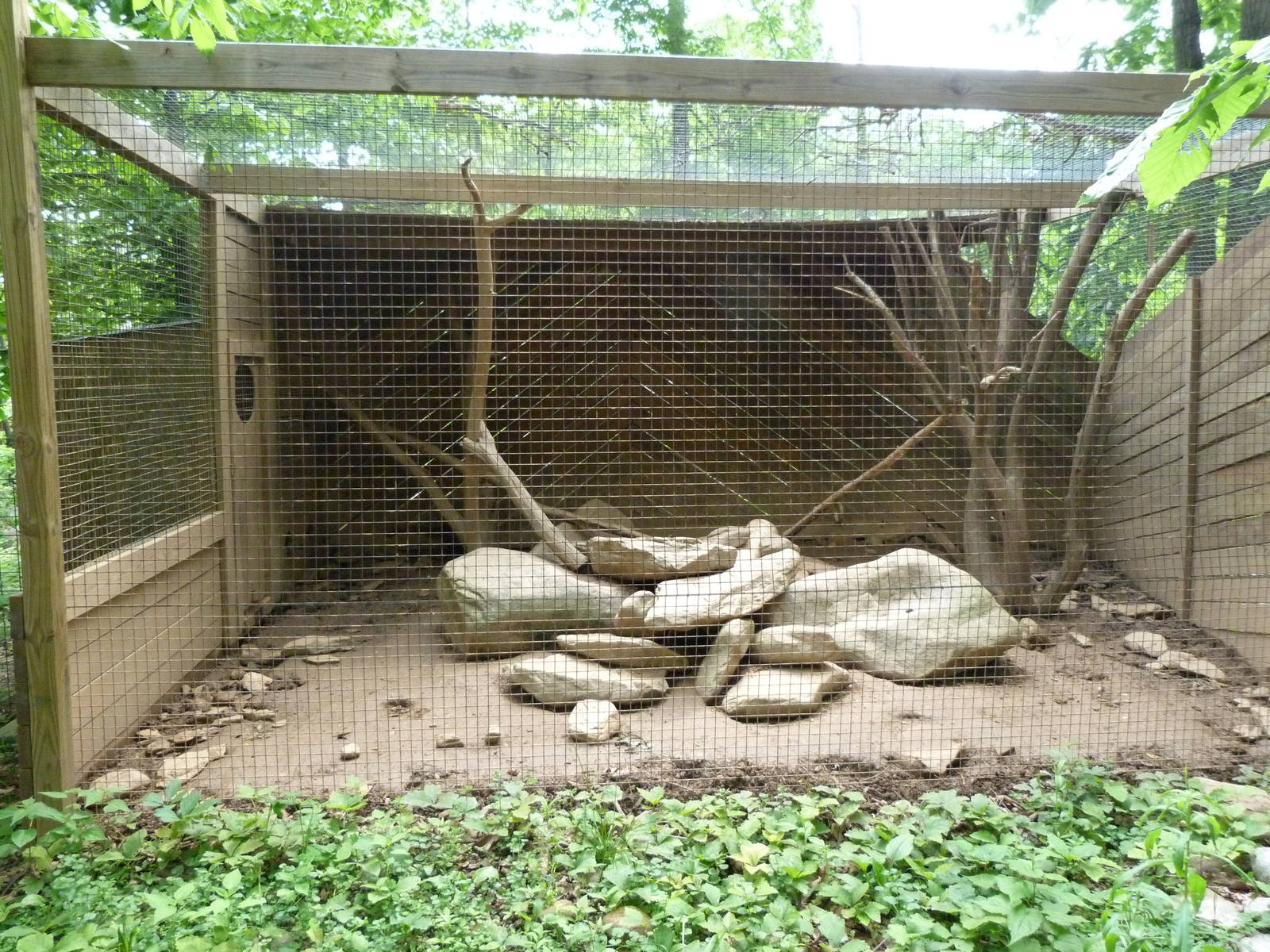 Catoctin Zoo -- Coati Exhibit