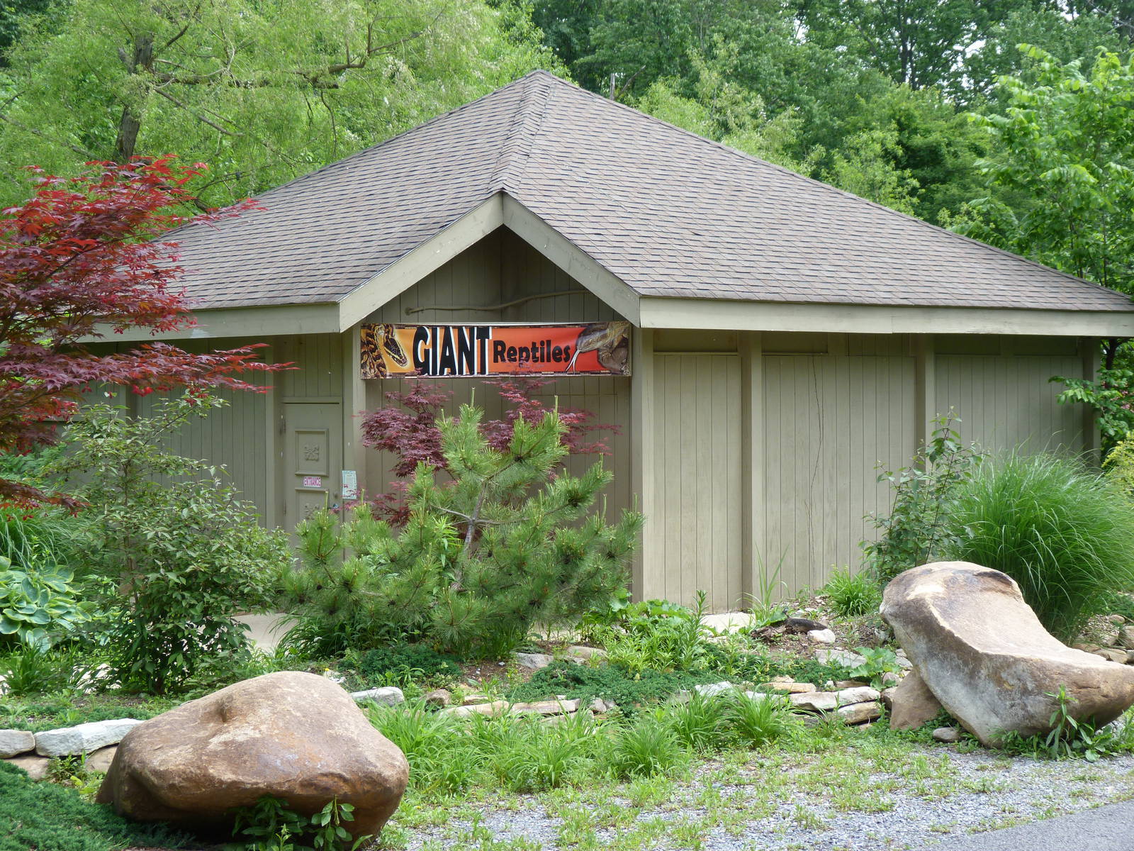 Catoctin Zoo -- Giant Reptiles House