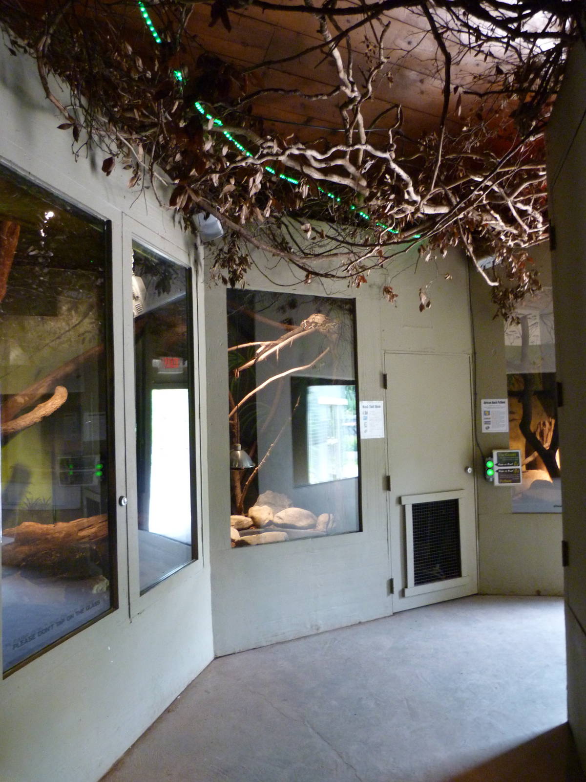 Catoctin Zoo -- Inside Giant Reptiles