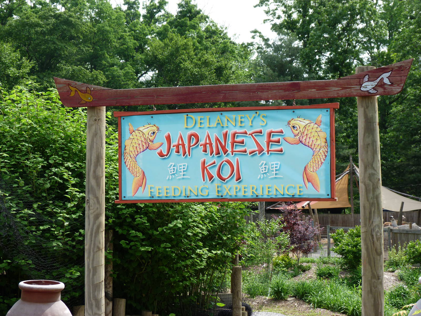 Catoctin Zoo -- Japanese Koi Entrance