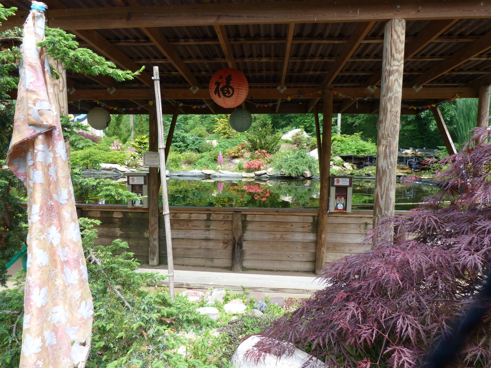 Catoctin Zoo -- Japanese Koi Pond