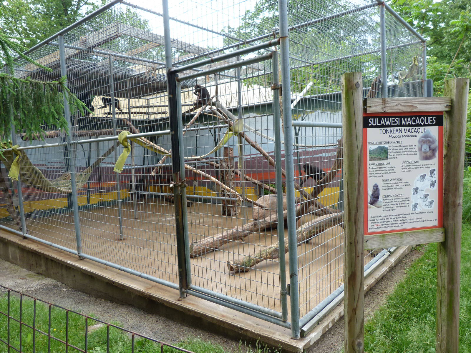Catoctin Zoo -- Macaques Exhibit