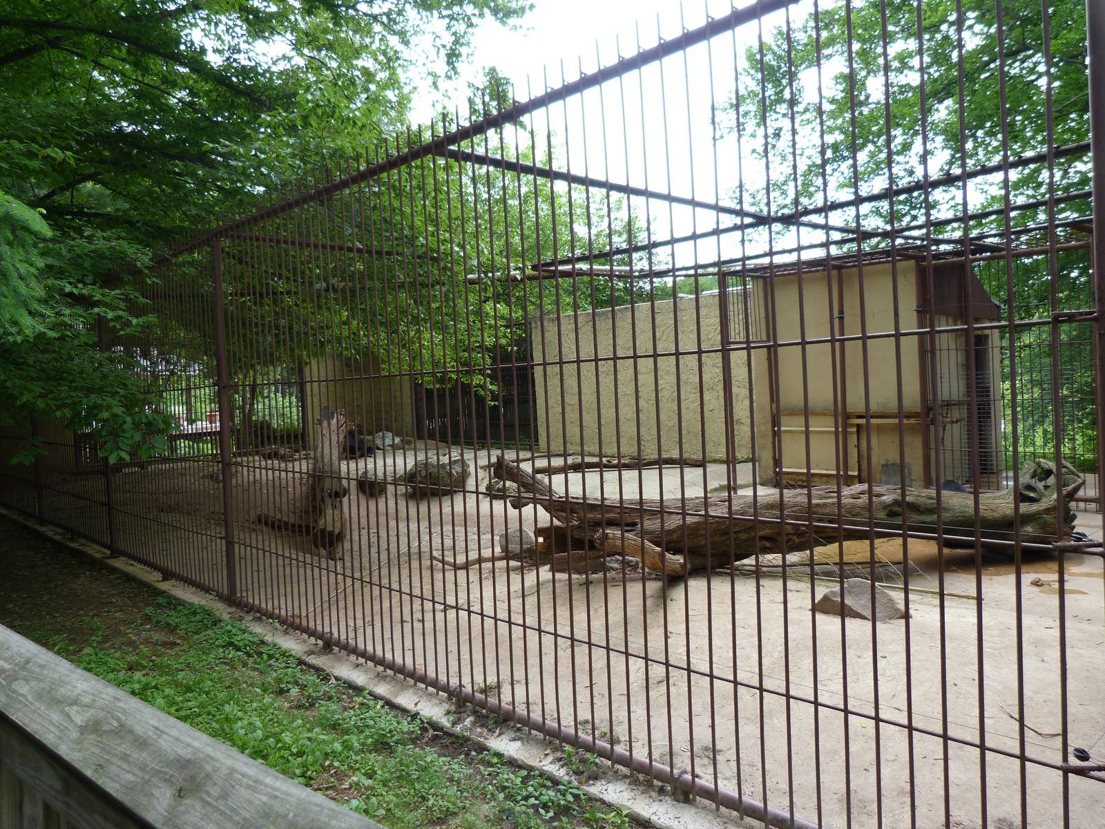 Catoctin Zoo - Sun Bear Exhibit