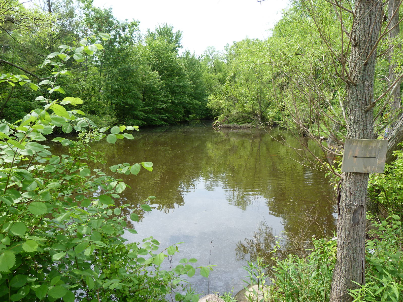 Catoctin Zoo -- Wildlife Preserve Pond