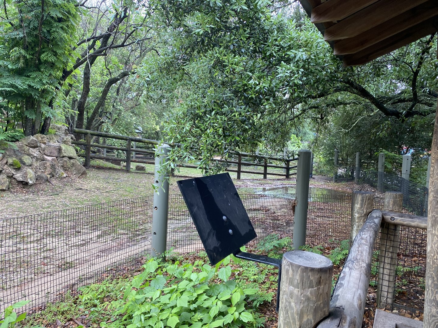 Cats, Hoofed Animals, and More- Radiated Tortoise Enclosure