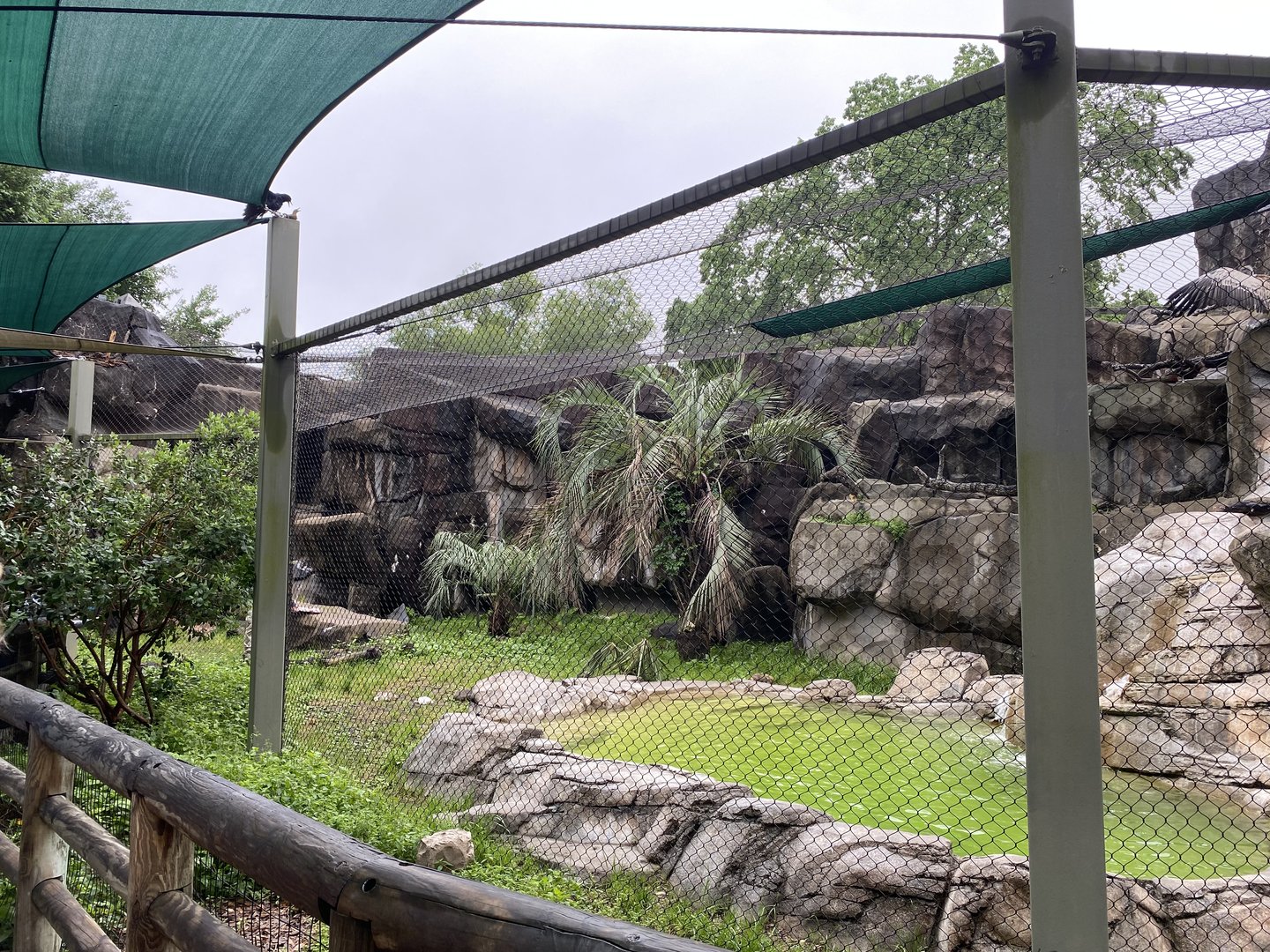 Cats, Hoofed Animals, and More- Vulture Enclosure