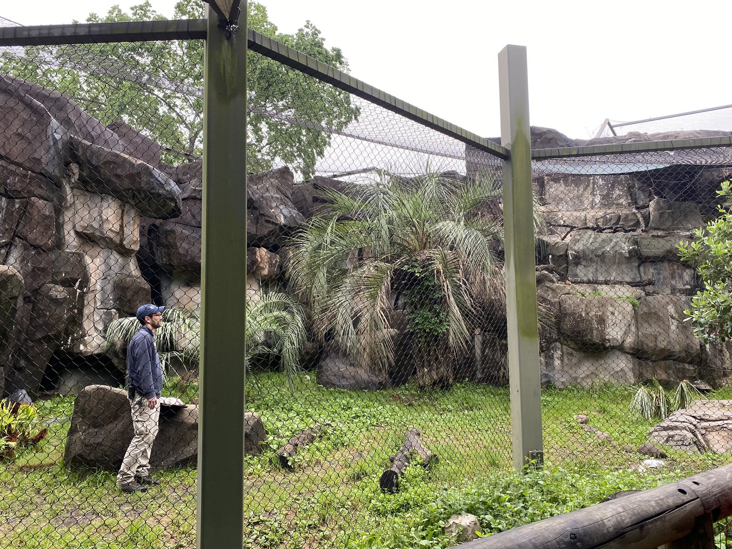 Cats, Hoofed Animals, and More- Vulture Enclosure