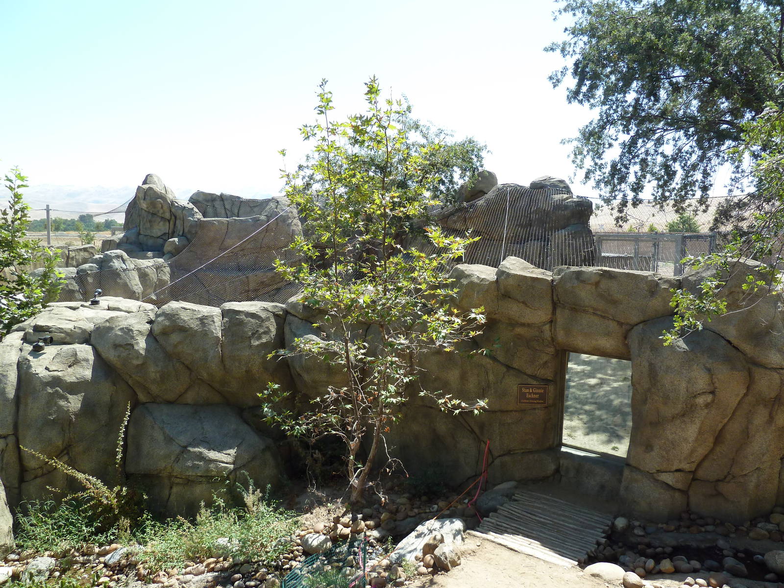 Cats Of California Complex - Cougar Exhibit