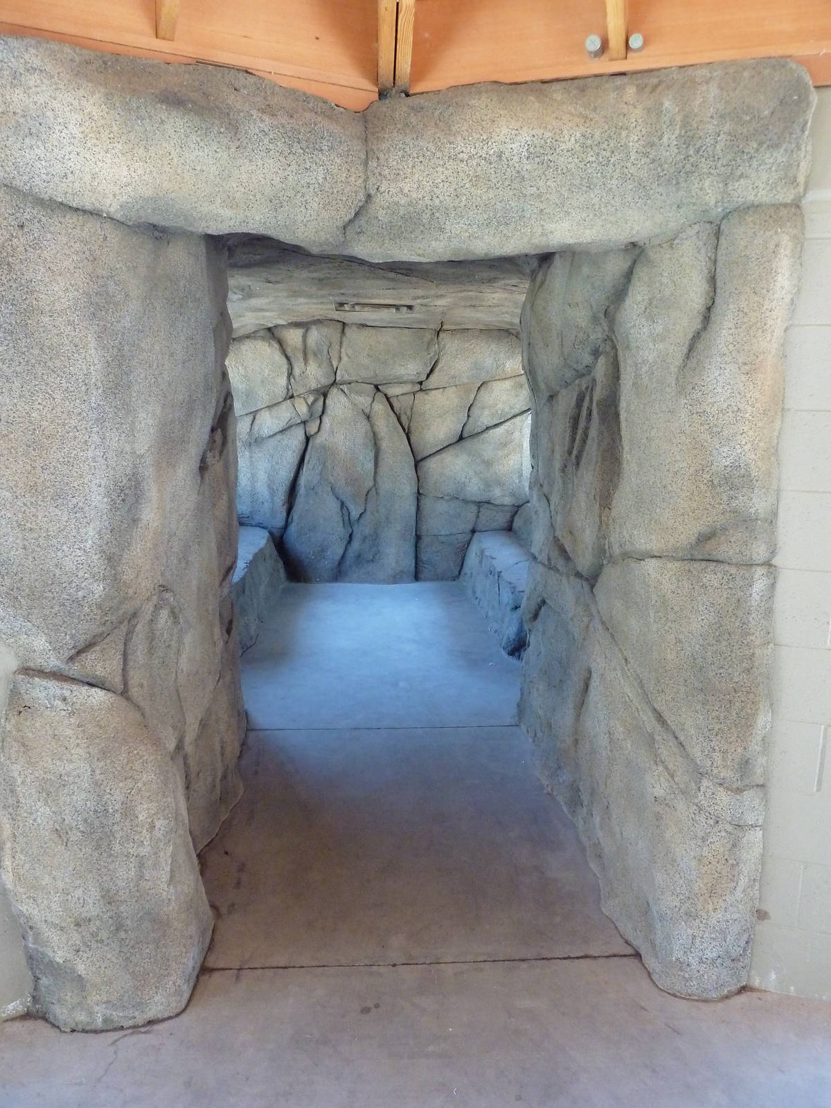 Cats Of California Complex - Viewing Tunnel