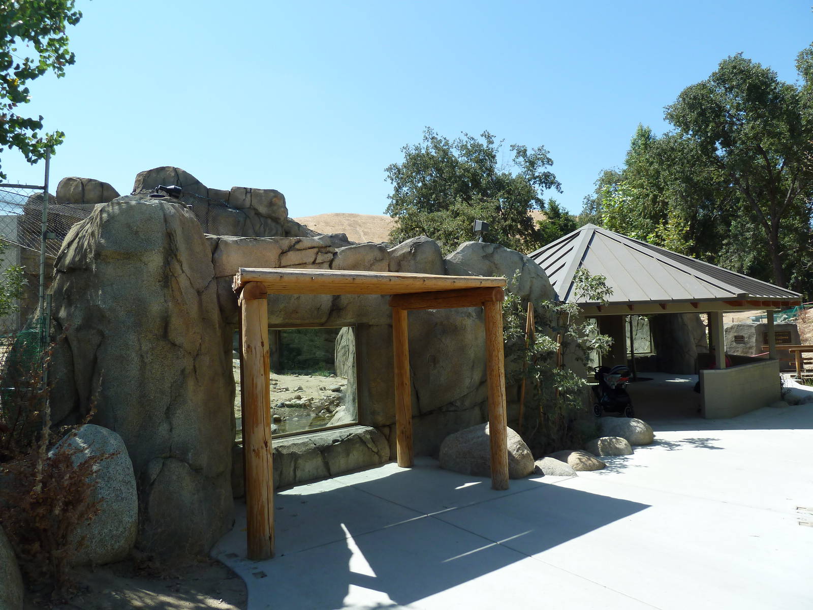 Cats Of California Complex