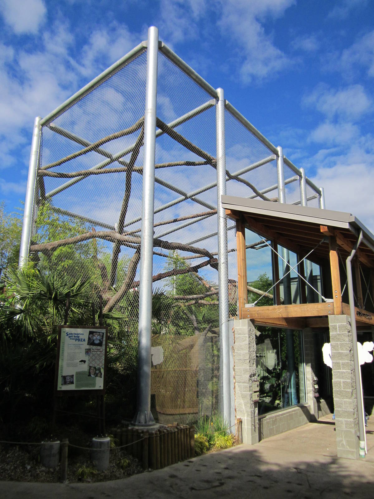 Cats Of The Canopy - New In 2011