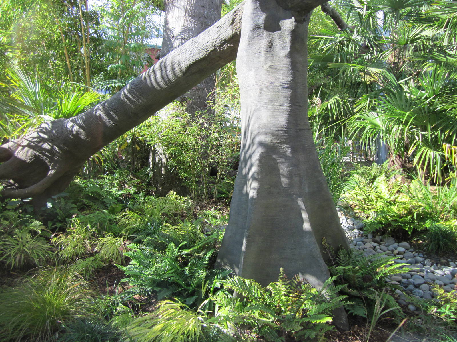 Cats Of The Canopy - New In 2011