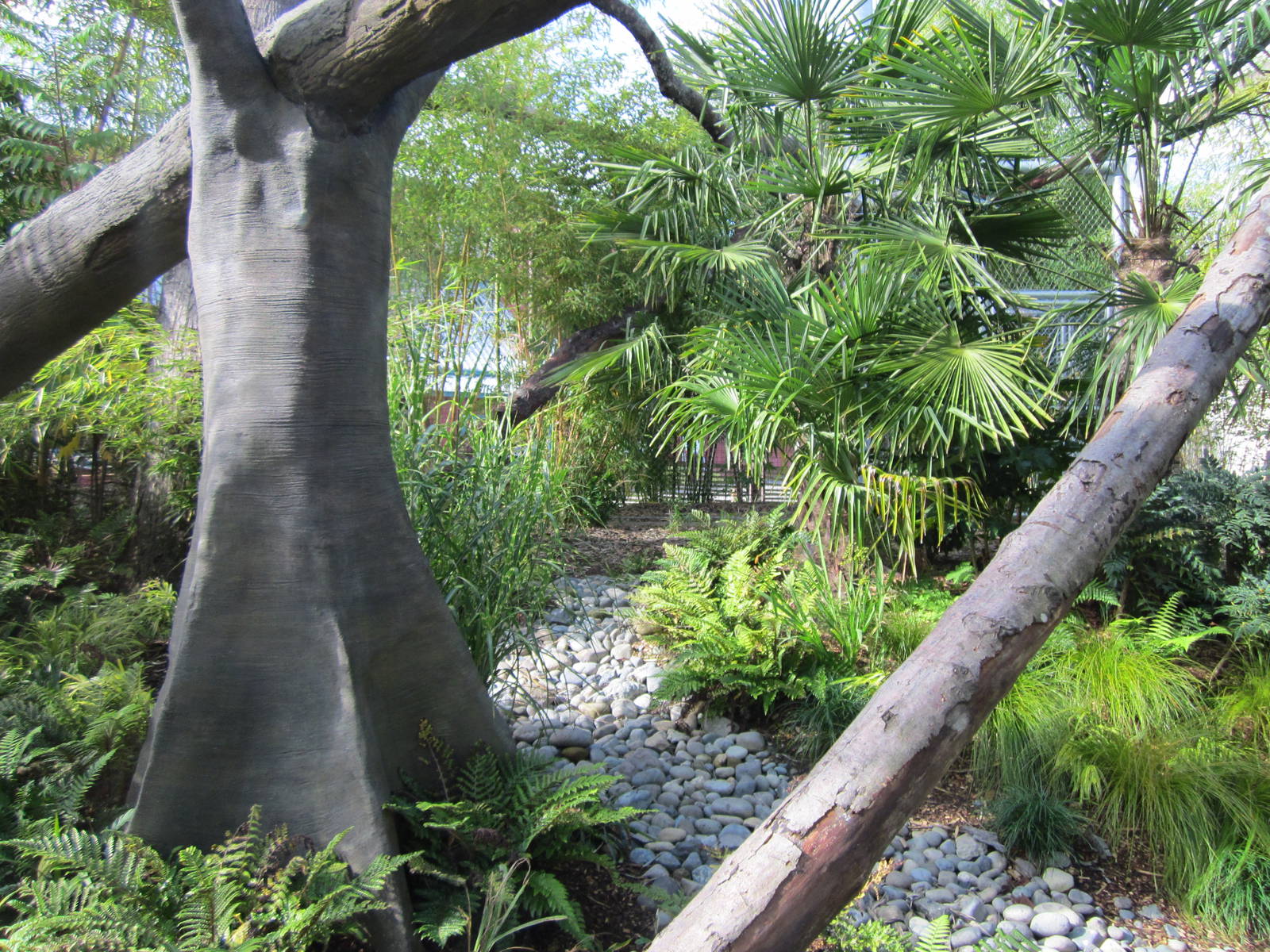 Cats Of The Canopy - New In 2011