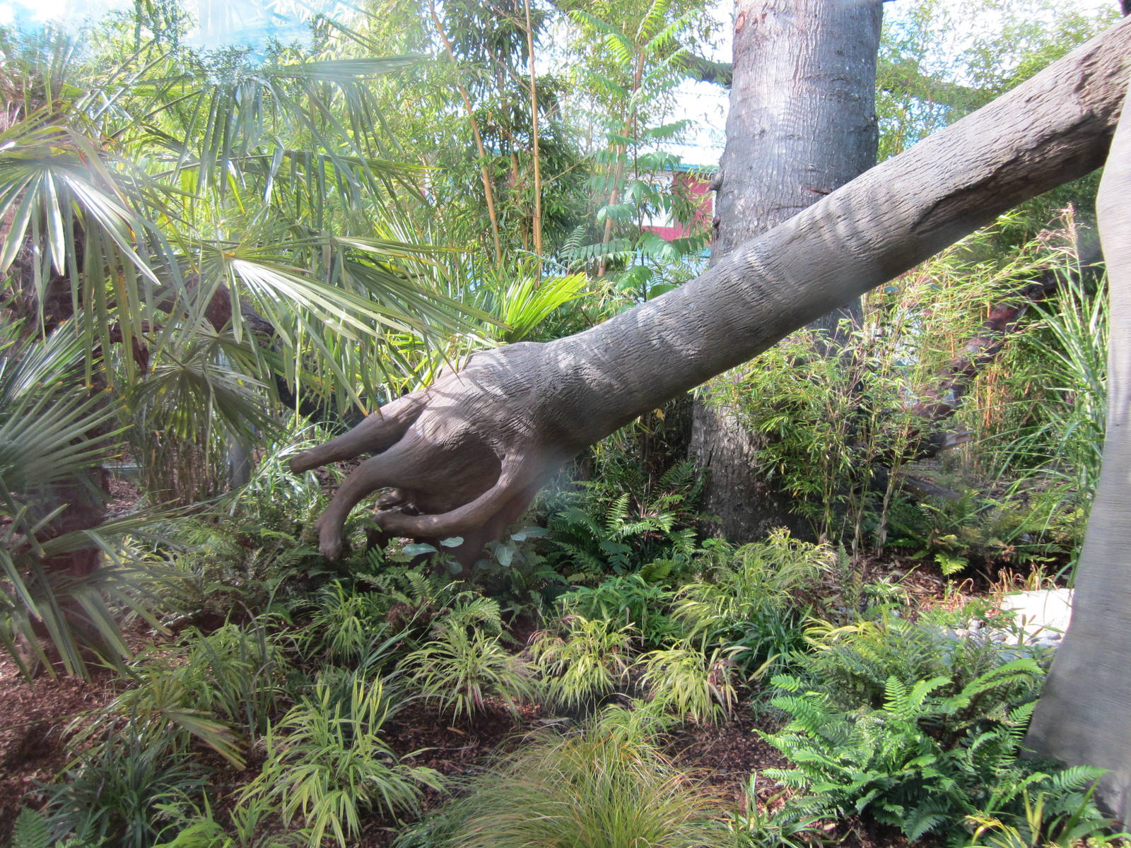 Cats Of The Canopy - New In 2011