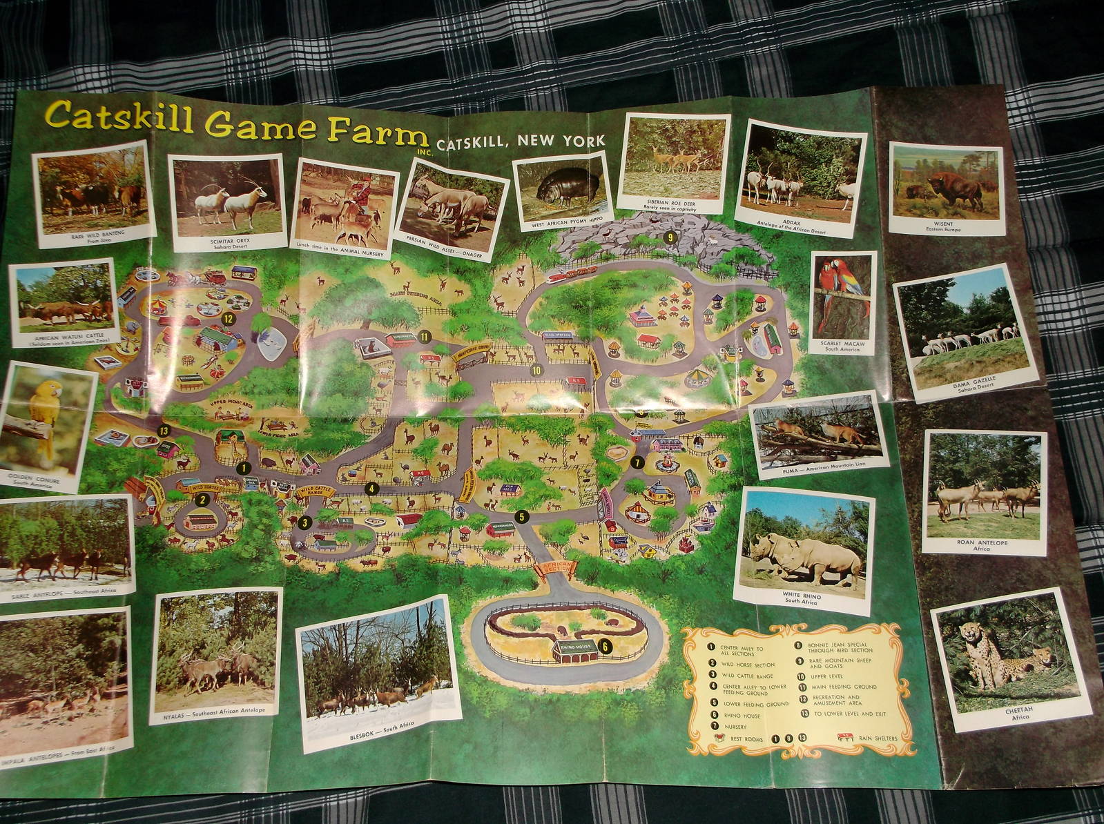 Catskill Game Farm 1960s Map