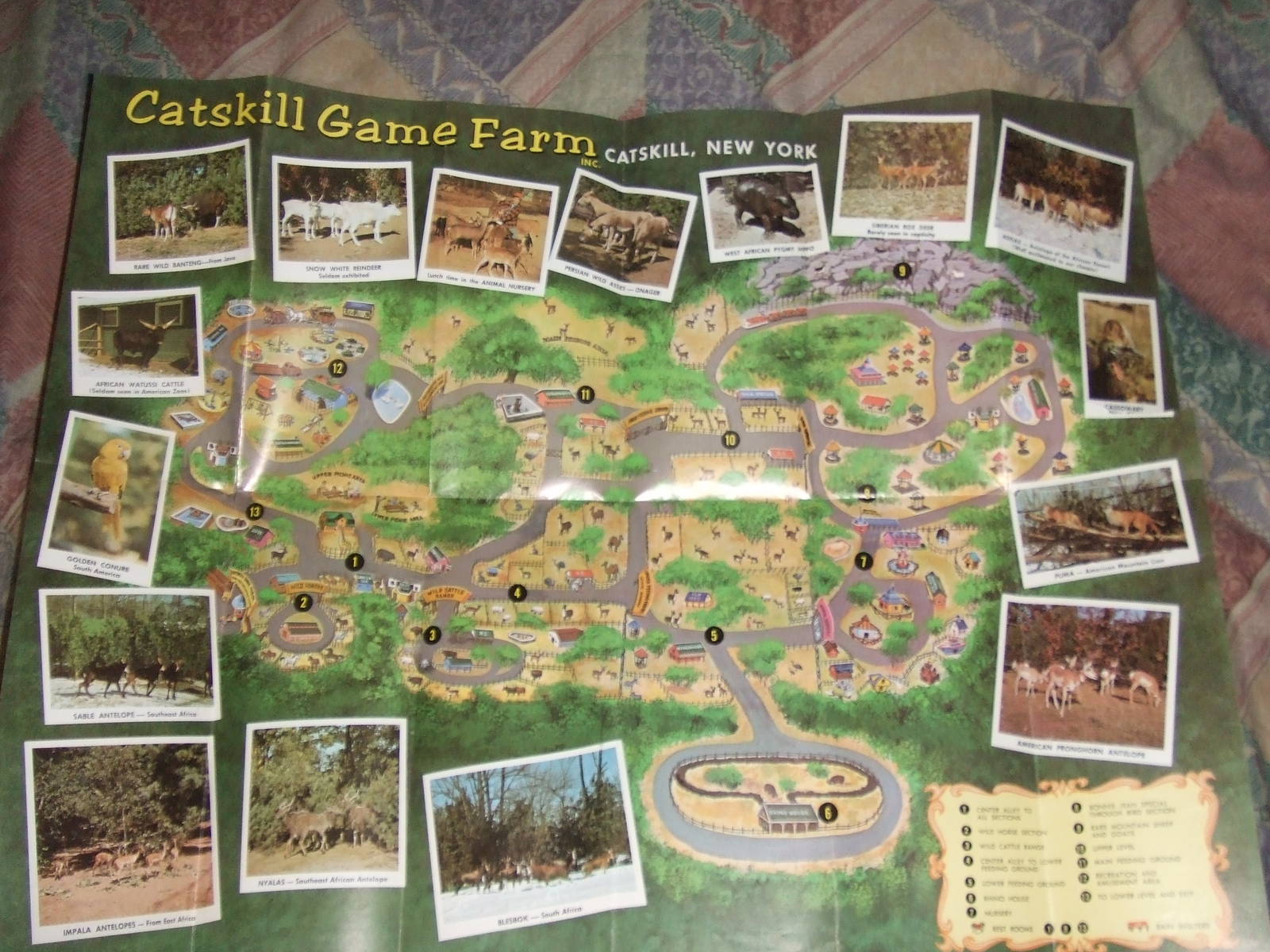 Catskill Game Farm map 1970's