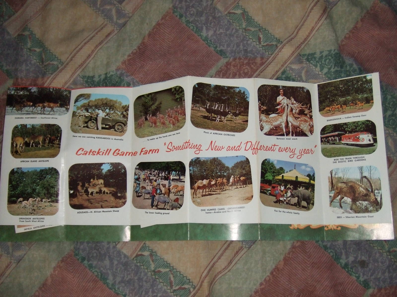 Catskill Game Farm map 1970's