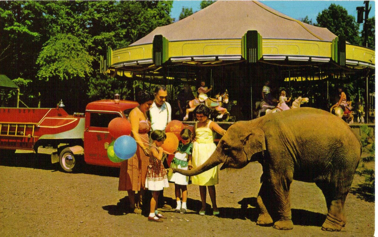 Catskill Game Farm Postcard
