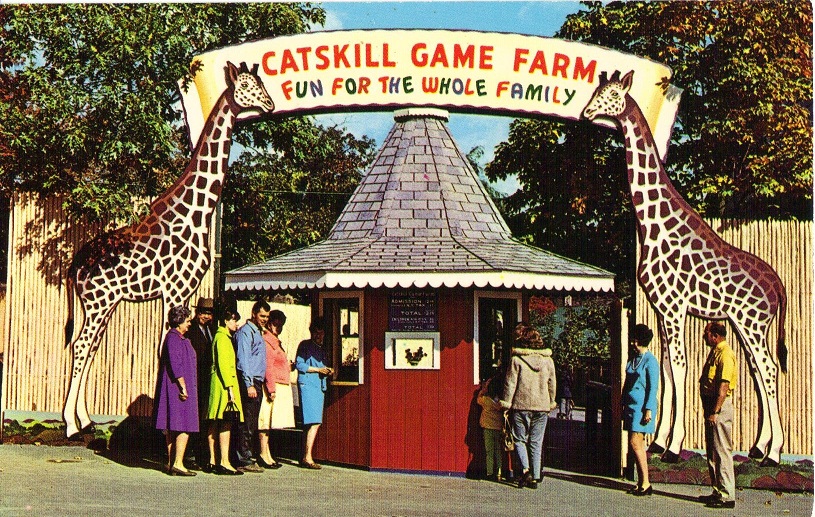 Catskill Game Farm Postcard