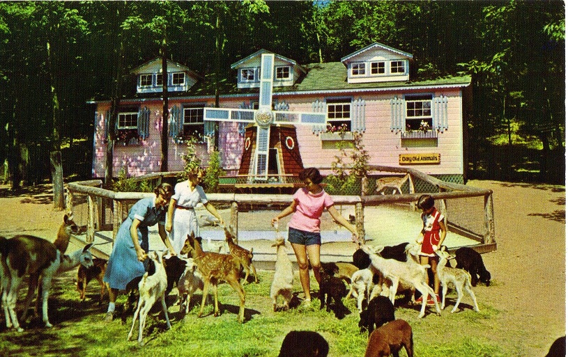 Catskill Game Farm Postcard
