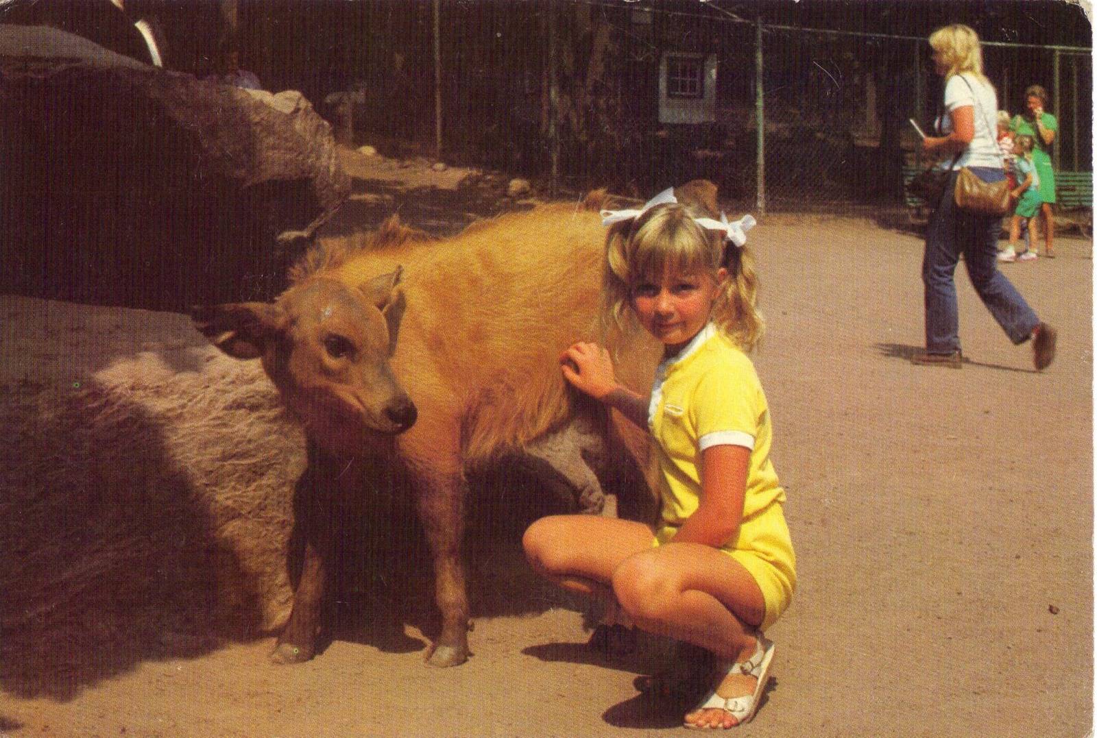 Catskill Game Farm Postcard