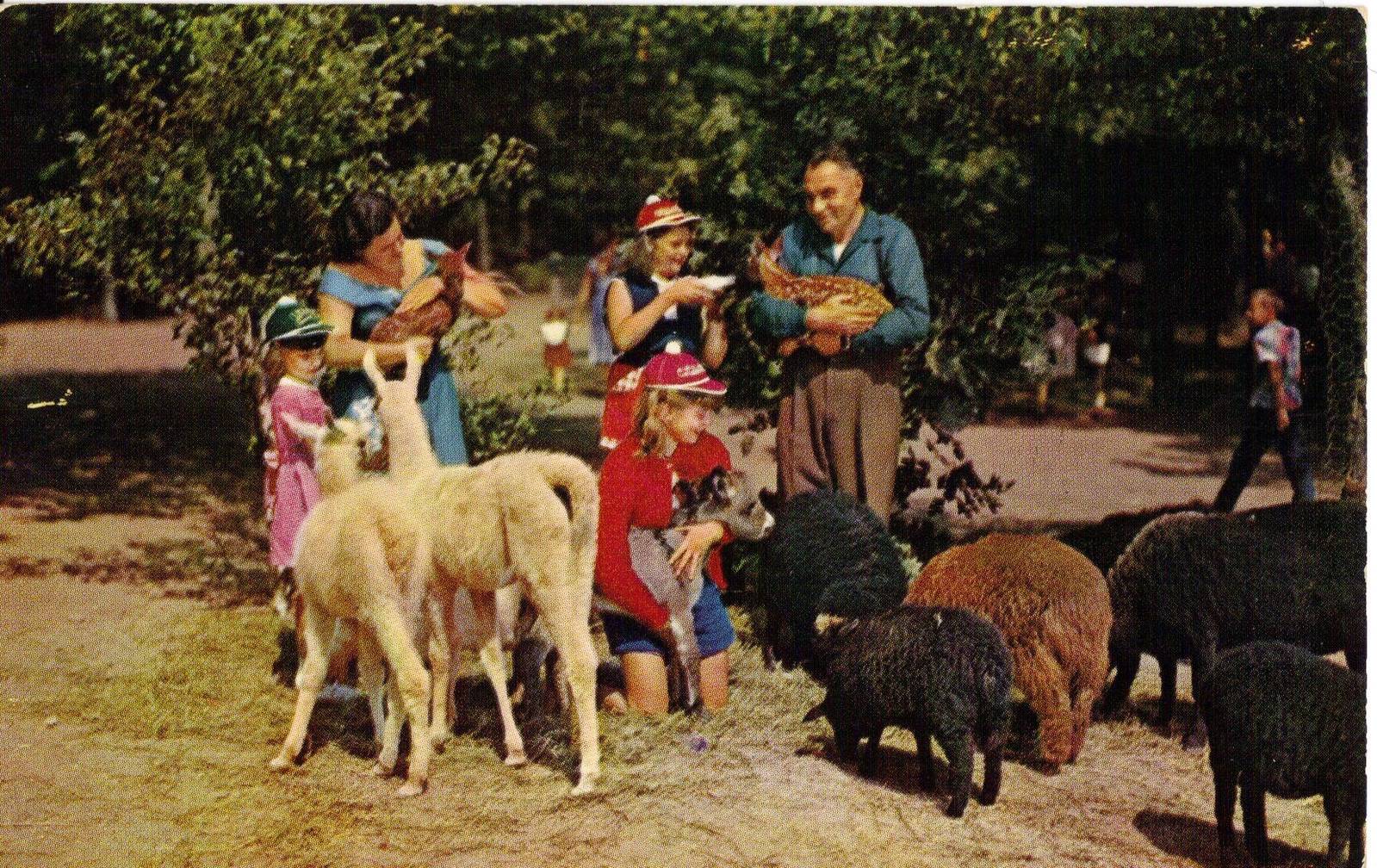 Catskill Game Farm Postcard