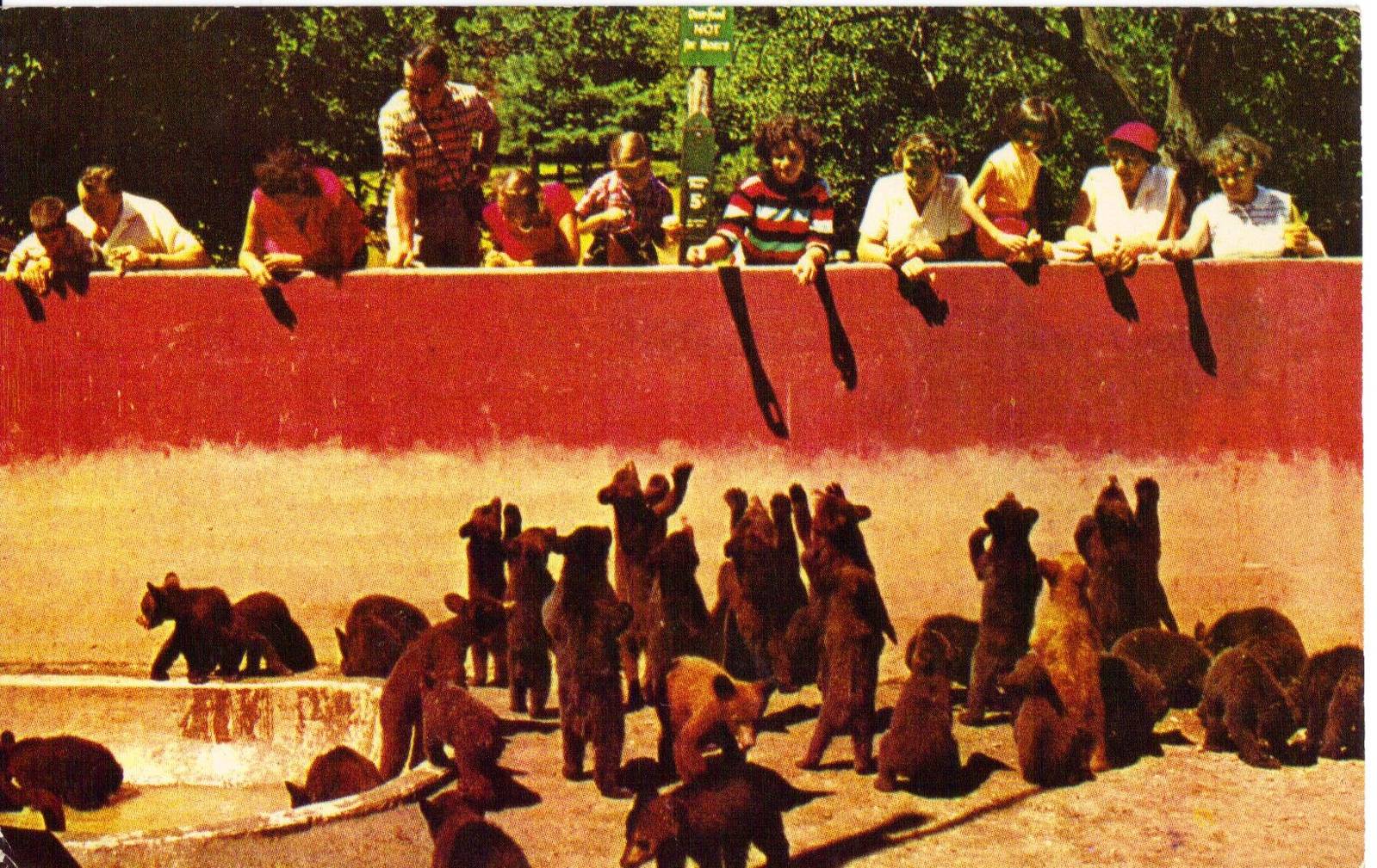 Catskill Game Farm Postcard