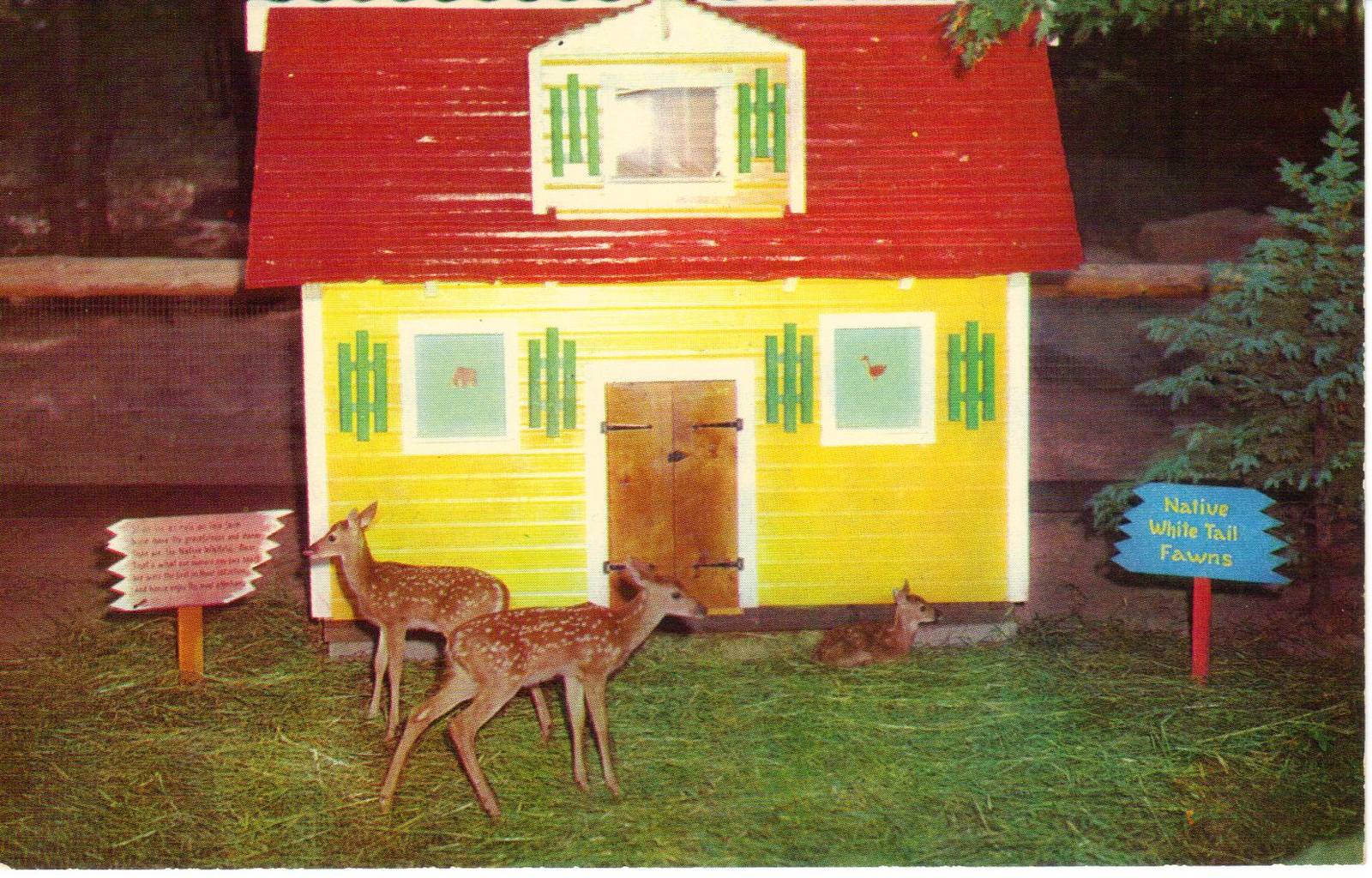 Catskill Game Farm Postcard
