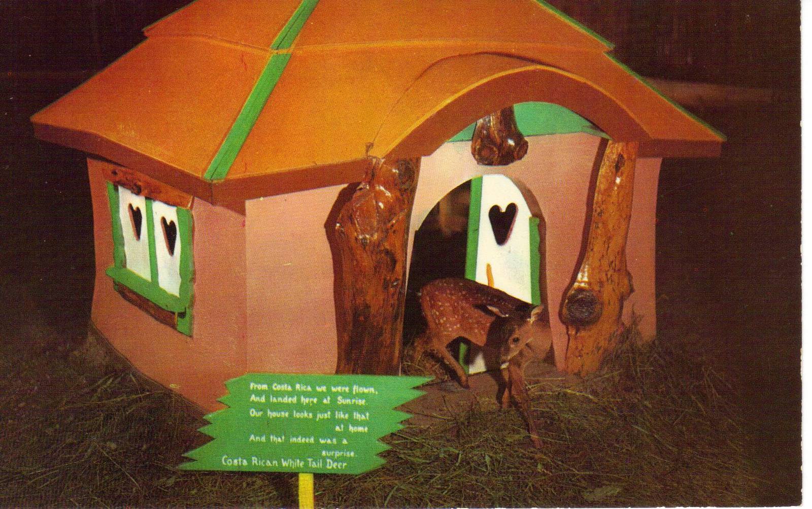 Catskill Game Farm Postcard