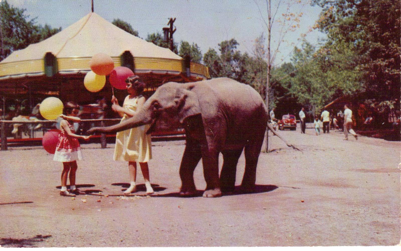 Catskill Game Farm Postcard