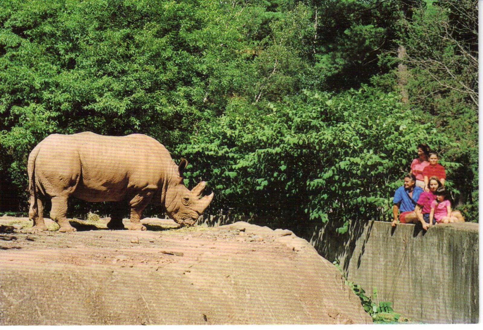Catskill Game Farm Postcard