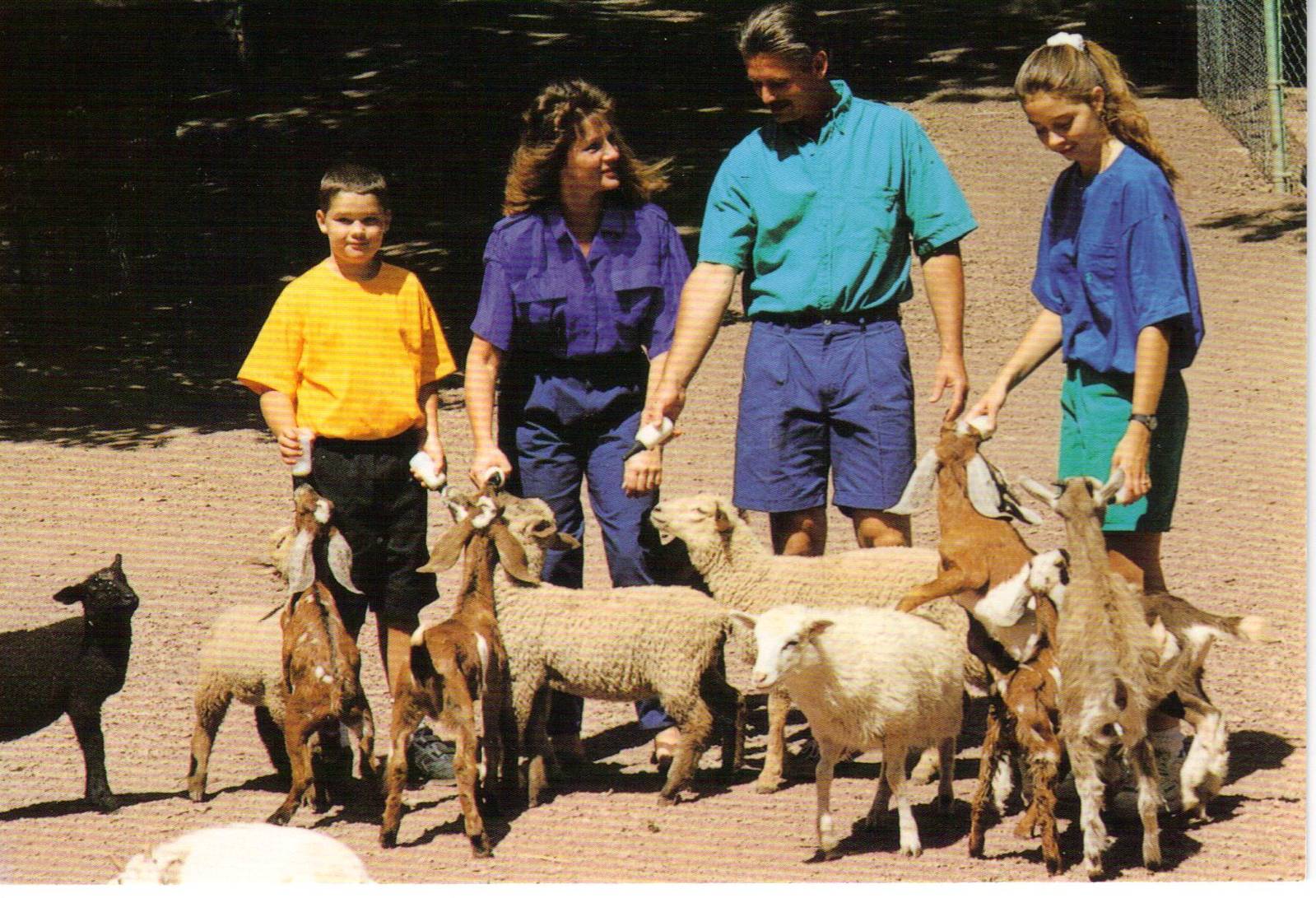 Catskill Game Farm Postcard