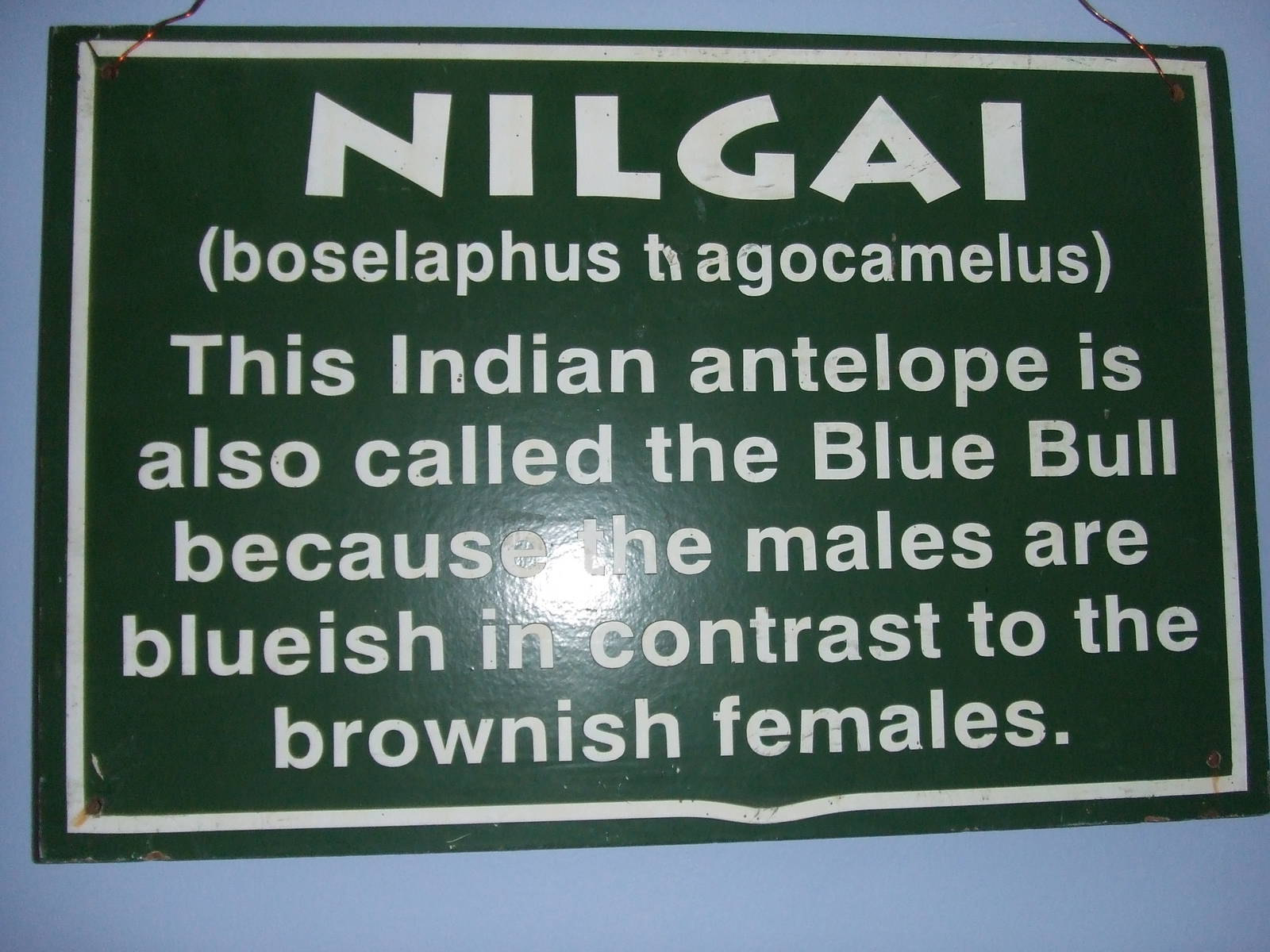 Catskill Game Farm sign