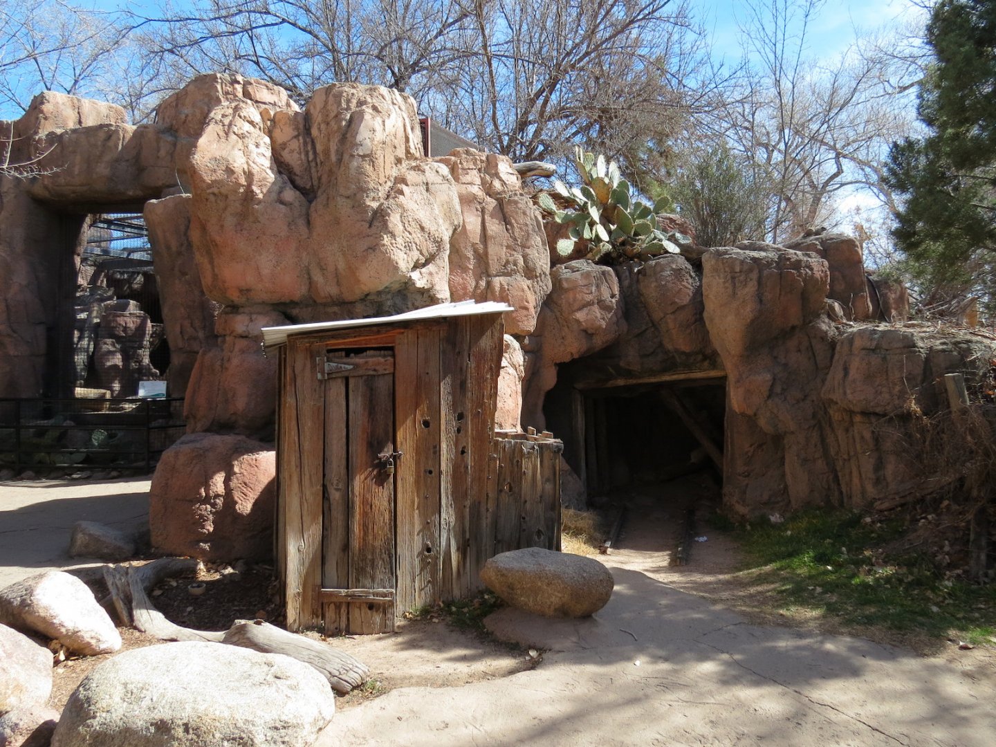 Catwalk - Mountain Lion Exhibit