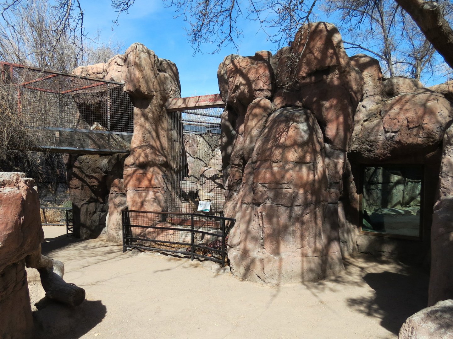 Catwalk - Mountain Lion Exhibit
