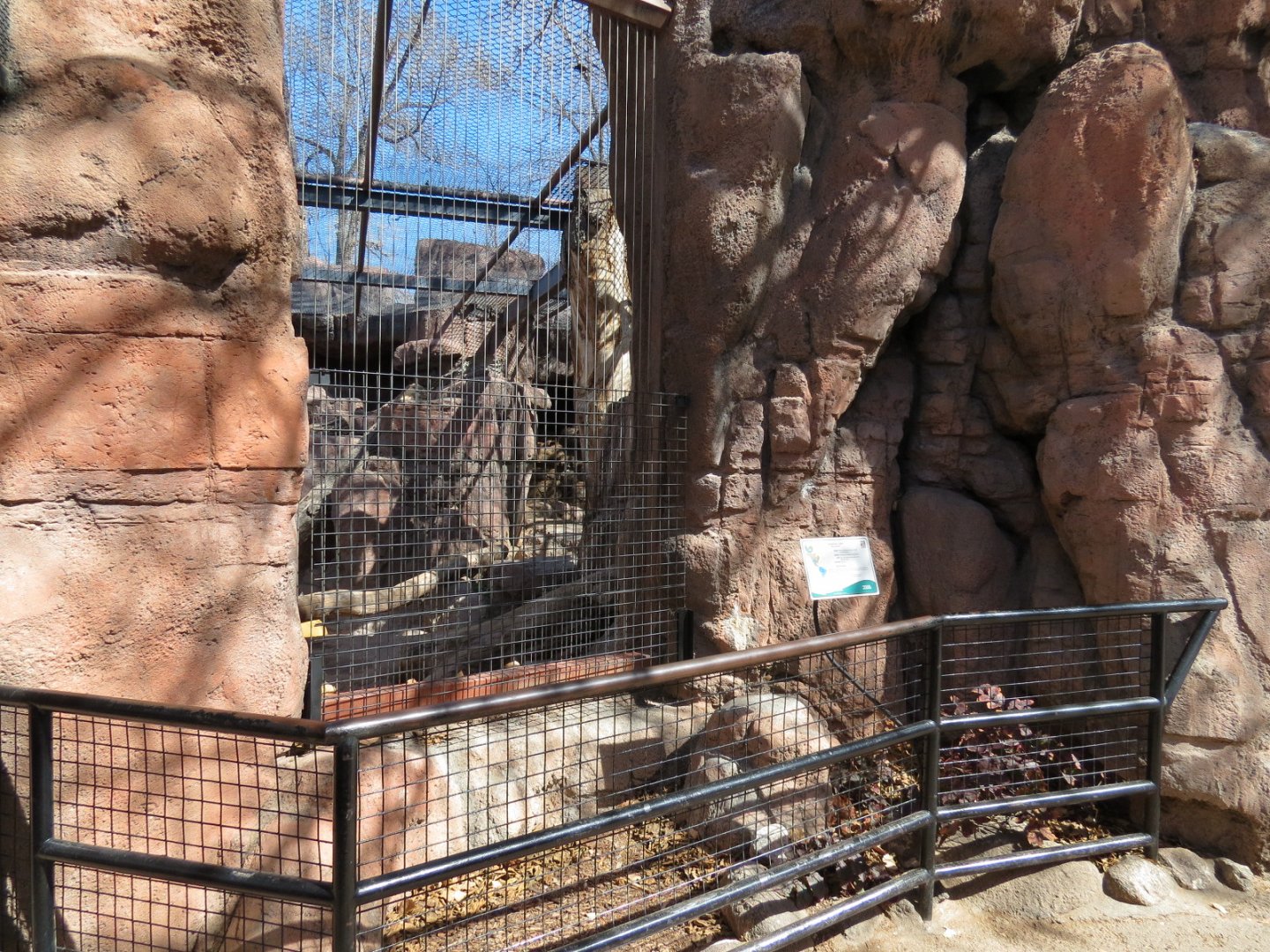 Catwalk - Mountain Lion Exhibit