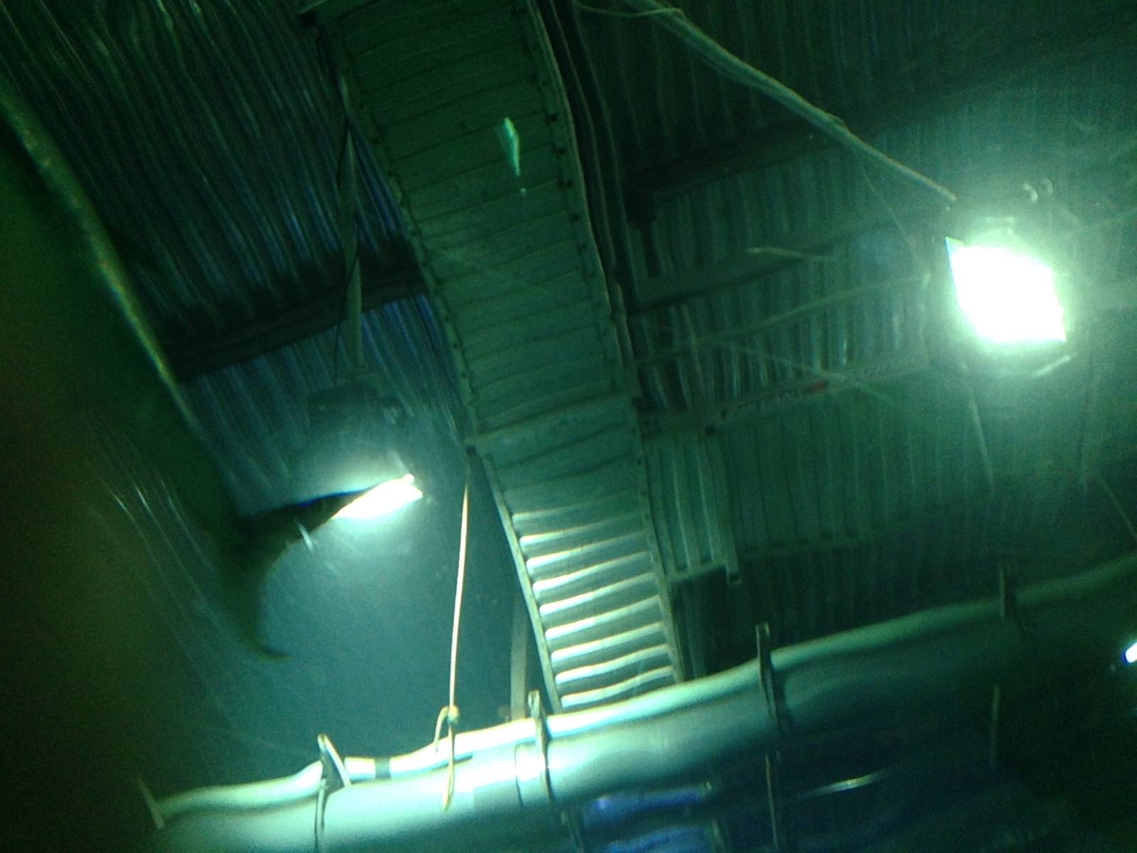 Catwalks Above the Caribbean Reef Exhibit at Blue Planet Aquarium - 05/10/2