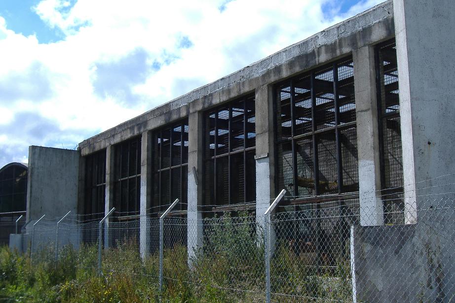 Causeway Safari Park, May 2007,