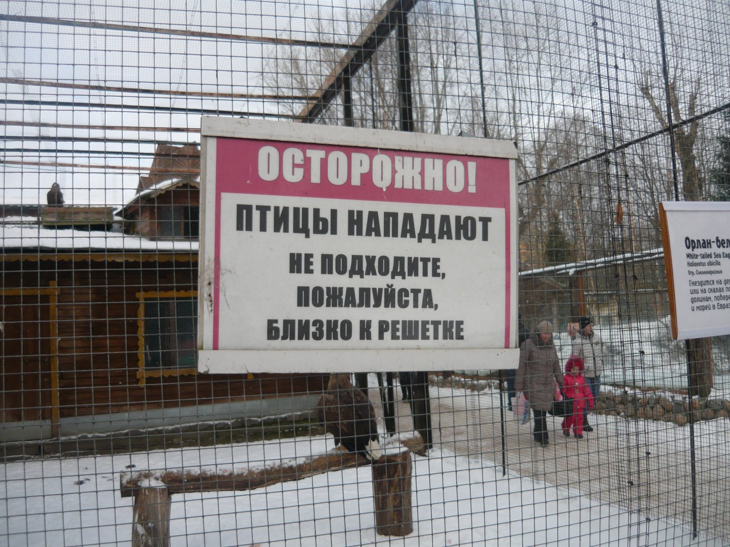 Caution! Birds are attacking. Please don't come close to the wire mesh.