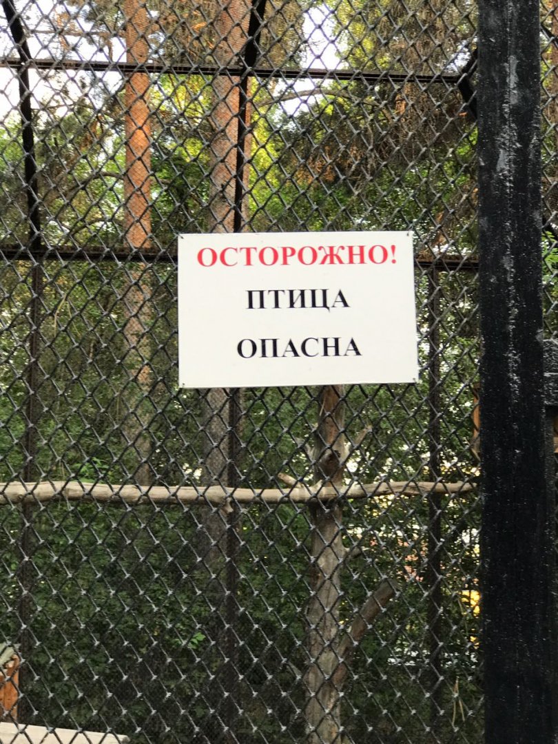 Caution! The bird is dangerous