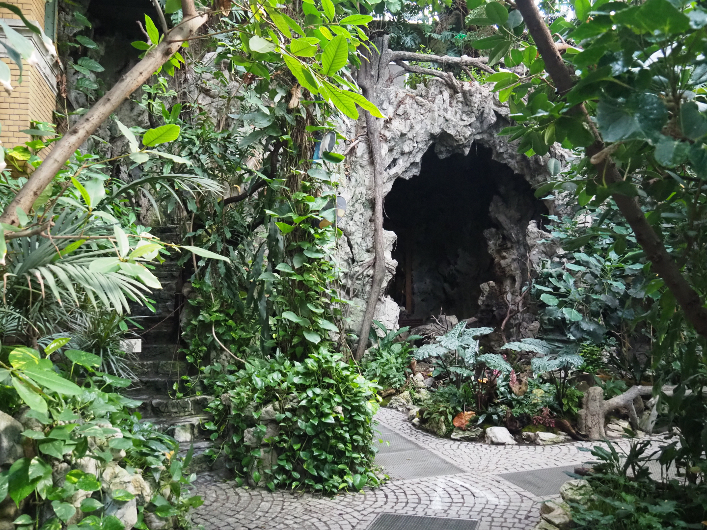 Cave area in the Winter garden/Butterfly house, 2020-06-28