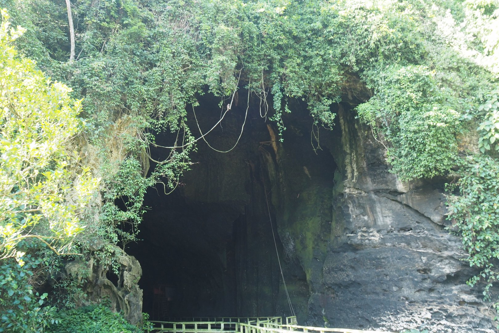 Cave Entrance - Gomantong Cave, Sabah, Borneo