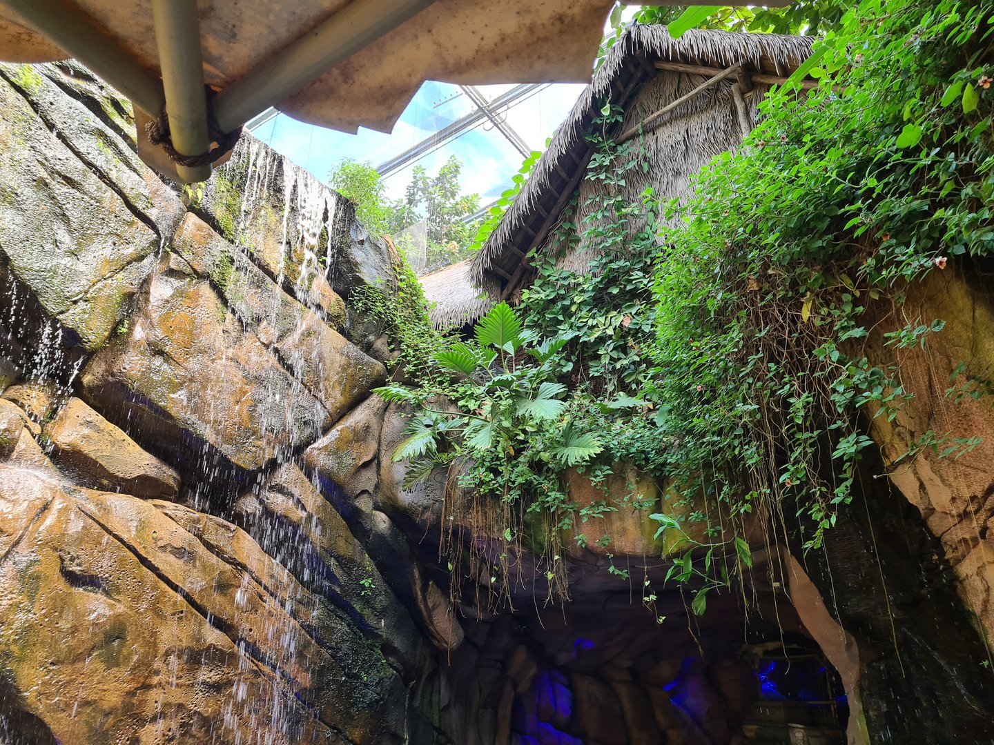 Cave entrance in Rimbula river boat ride