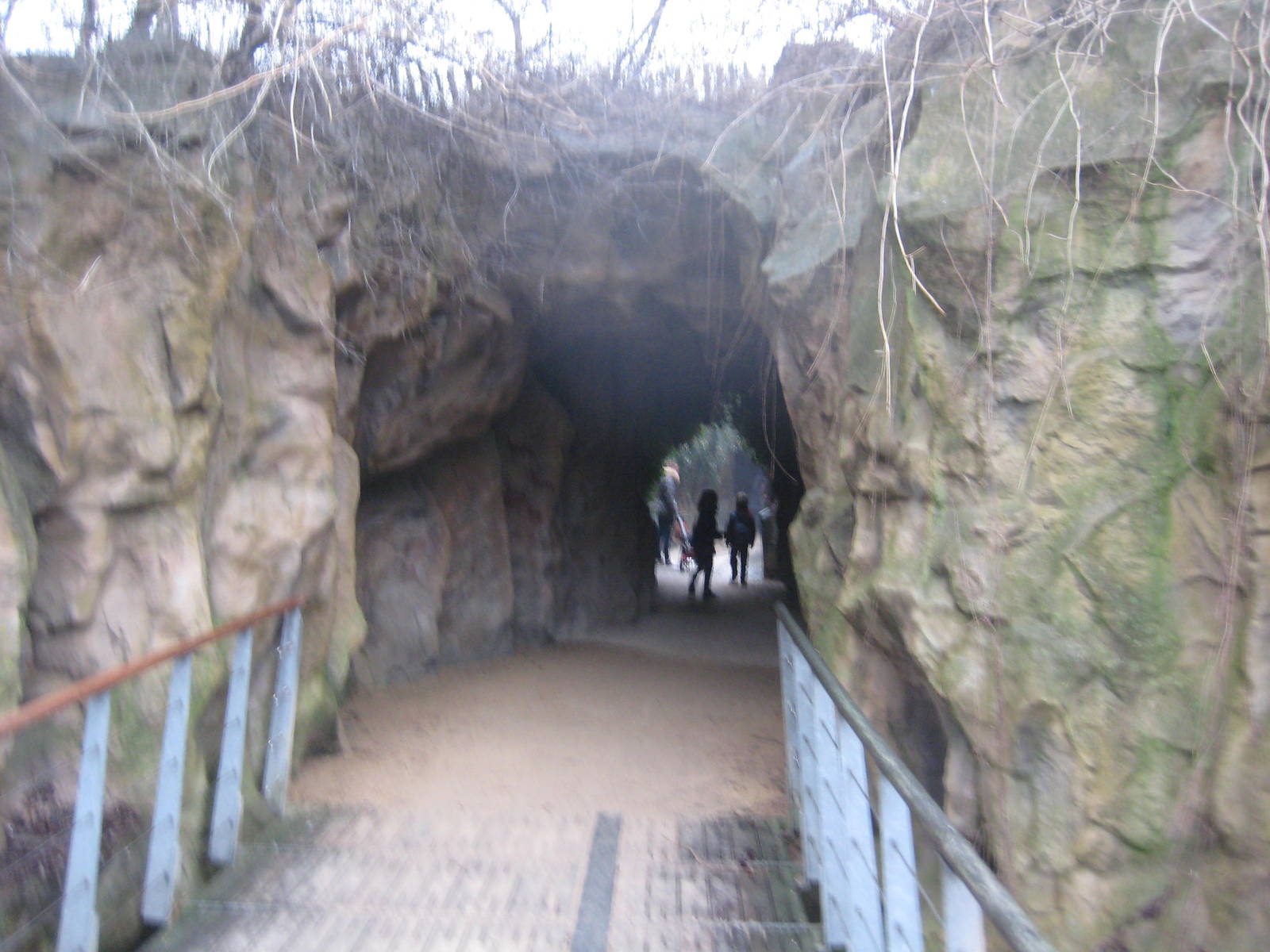 Cave entrance to Savannah