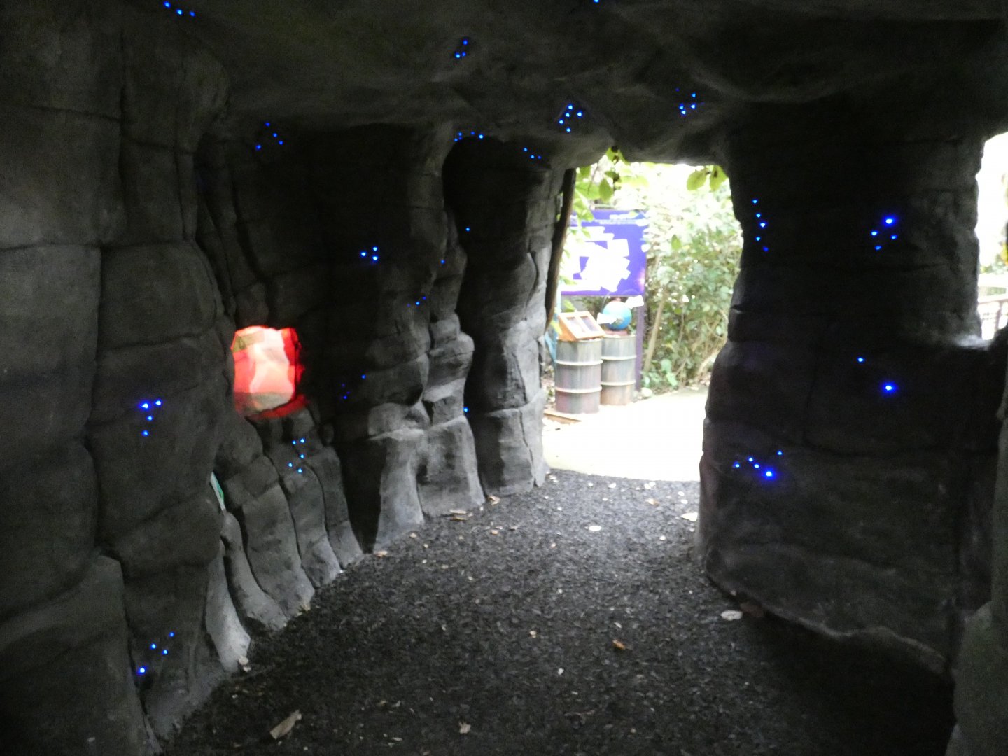 Cave exhibit (Plantasia Swansea)